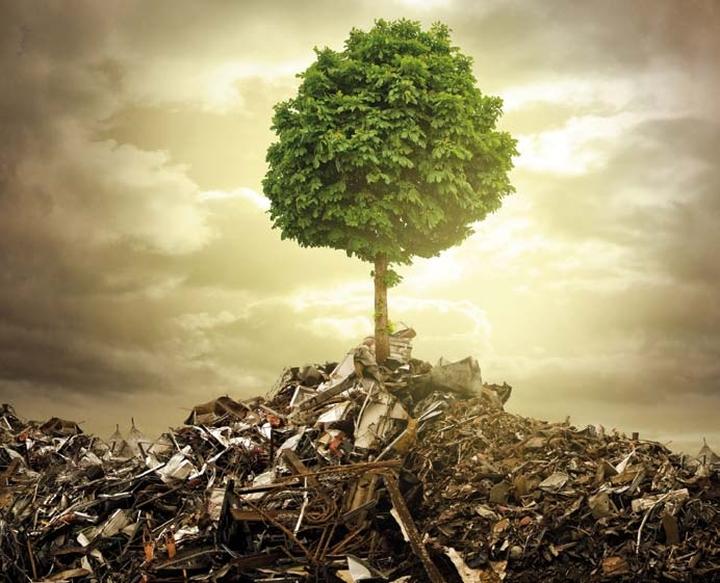 Mądre myśli o środowisku