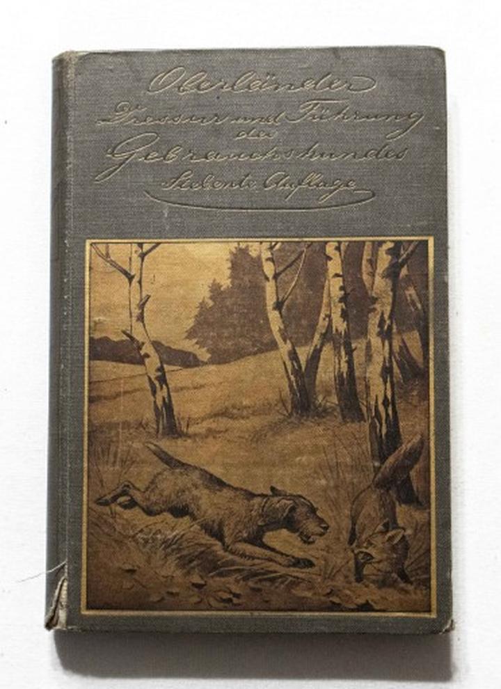 Rodzajniki w języku niemieckim