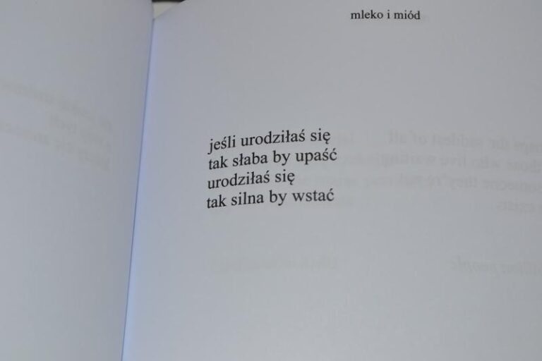 Mleko i miód: O czym opowiada ta wyjątkowa książka?