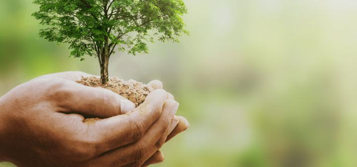 Ziemia w słowach: Mocne cytaty o ekologii, które zmienią twoje myślenie