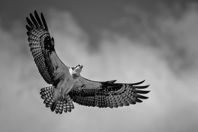 Cytaty motywujące na co dzień