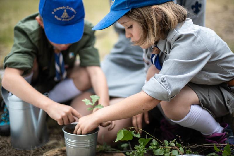 Literatura jako narzędzie wychowawcze