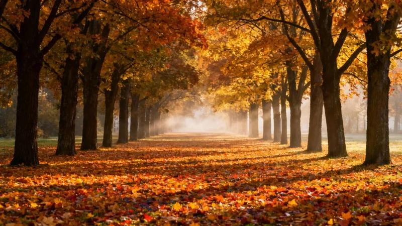 Metafory i symbole w wierszu