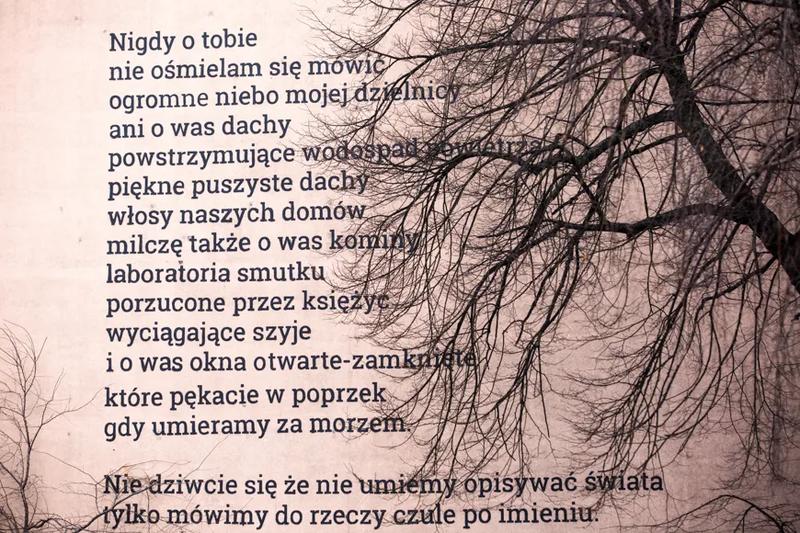 Pisanie wierszy o emocjach