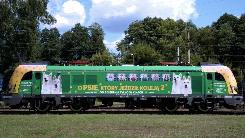 Znaczenie psa podróżnika w literaturze dziecięcej