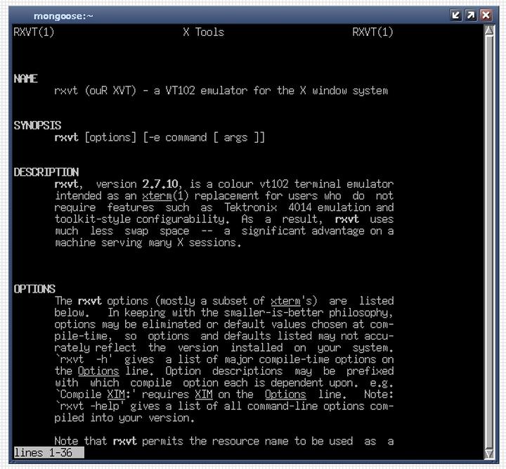 Prosty przewodnik: Jak uruchomić program z wiersza poleceń w kilku krokach