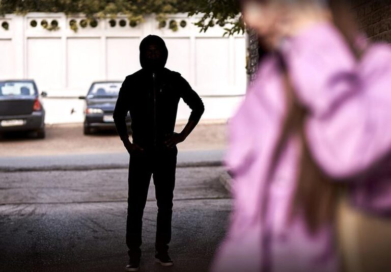 Zgubione w cieniu: Odkrywanie tajemnic w książce o stalkingu