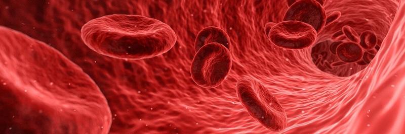 Inspirujące cytaty o krwiodawstwie