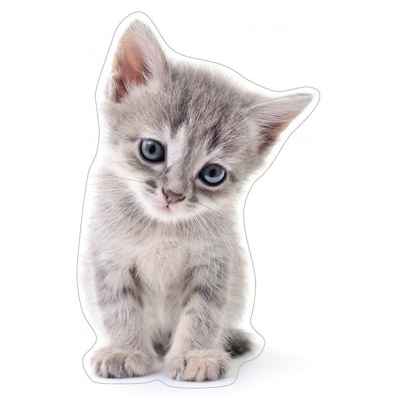 Kocia symbolika i legendy