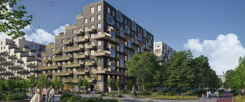 Kultura Mokotowa i literatura