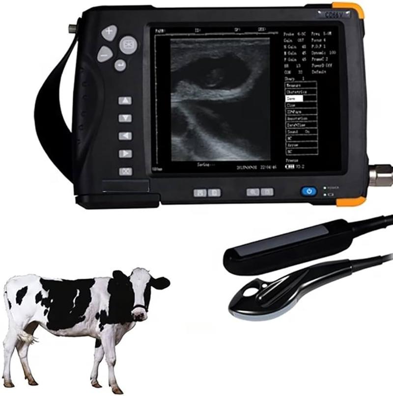 Wiersze o koniach i osłach