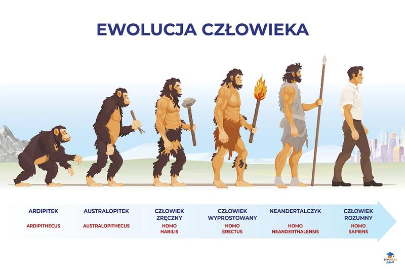 Moja pierwsza książka o ewolucji - historia życia w książkach i naukach przyrodniczych