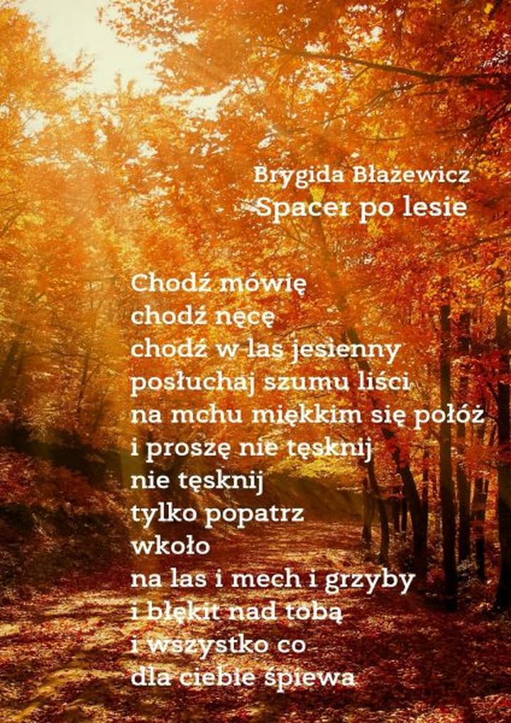 Jesienne wiersze o grzybach