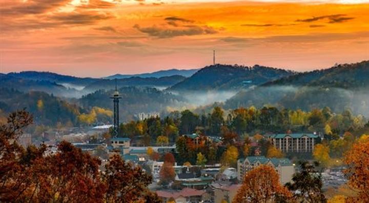 Historie o odwadze rasowej