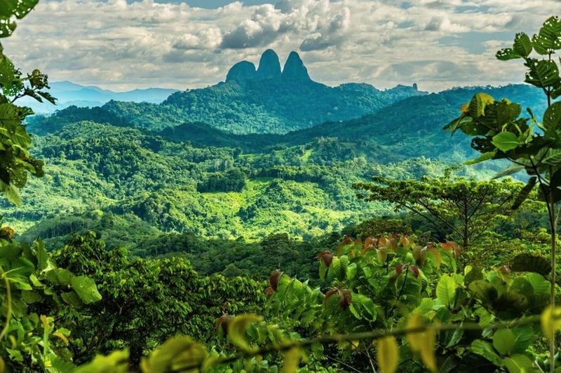 Borneo książki