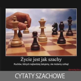 Mądrość w życiu
