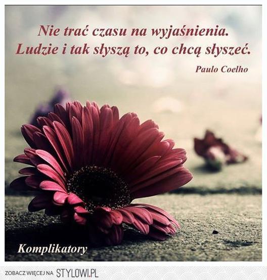 Cytaty o zasadach