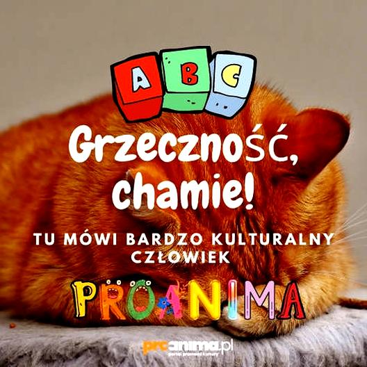 Dobrego wychowania zwyczaje