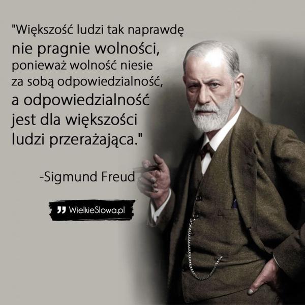 Odpowiedzialność za wybór